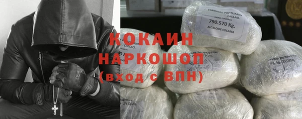 стафф Алзамай