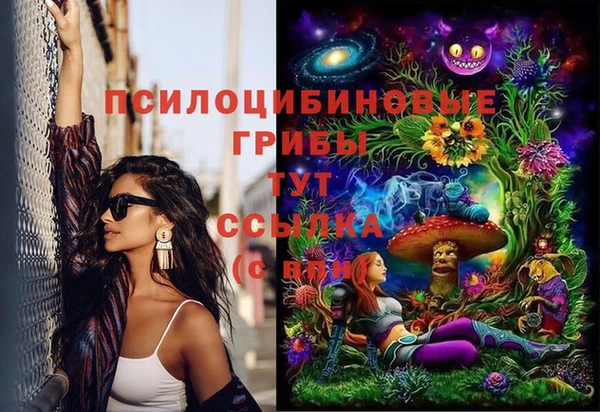 бошки Абдулино
